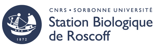 logo SBR
